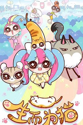 神马网站优化哪家好